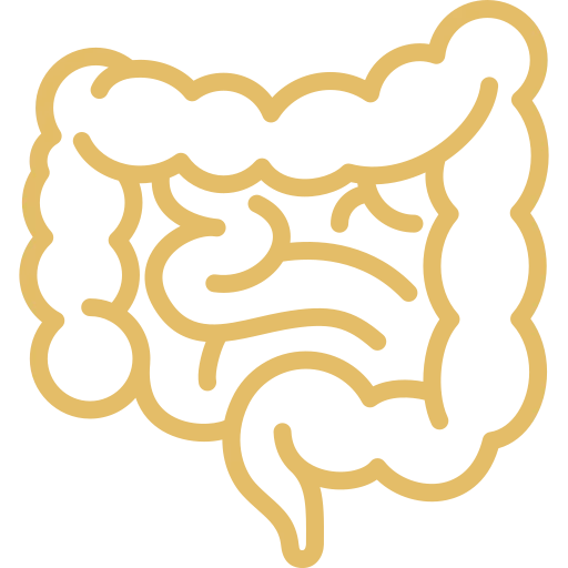 cropped-favicon-default.png