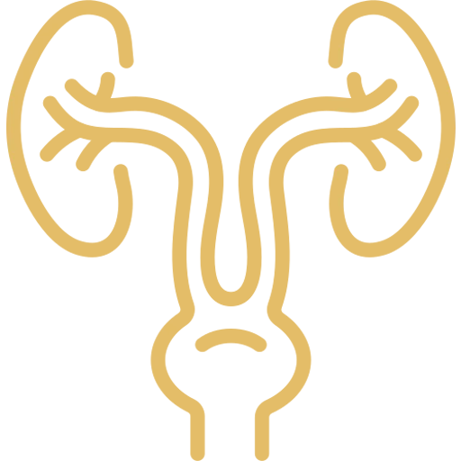 cropped-favicon-default.png